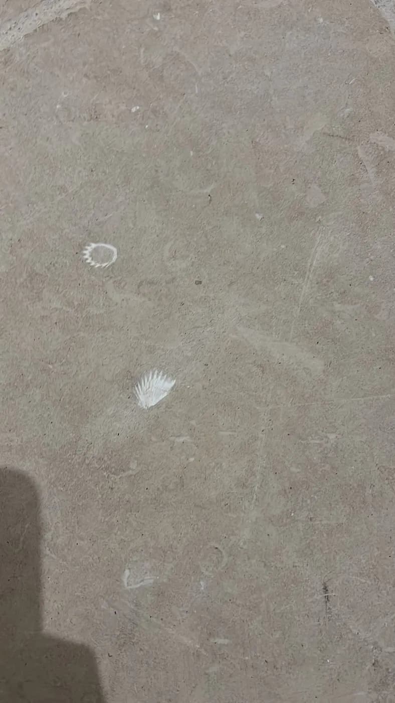 Pavimento in pietra leccese — camera